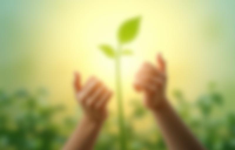 Symbolic image representing growth and learning in healthcare, showing hands reaching towards a lightbulb or plant.